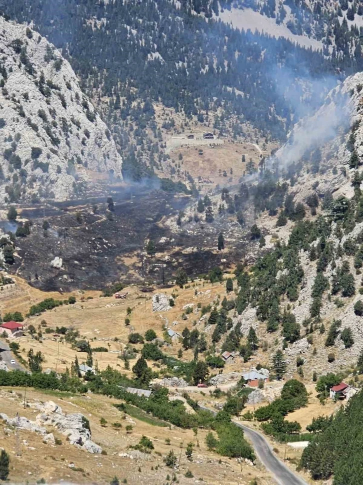 Kırsal alan yangınında 1 hektar zarar gördü
