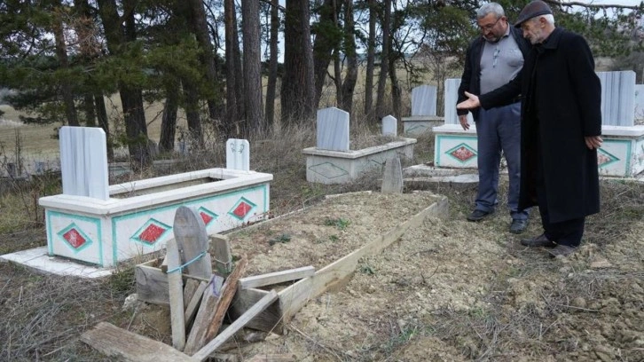 Kış uykusuna yatamayan ayılar, mezarları kazmaya başladı