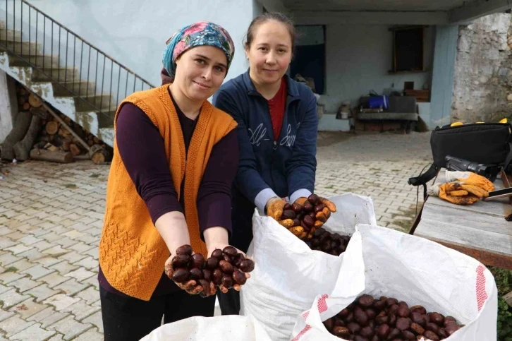 Kışın vazgeçilmez lezzeti kestanenin sofralara yolculuğu başladı
