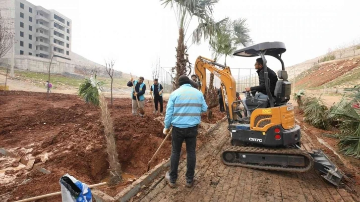 Kito deresinde ağaçlandırma devam ediyor
