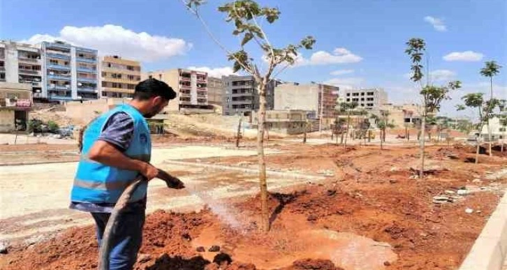 Kito Deresinde çalışmalar yeniden başladı