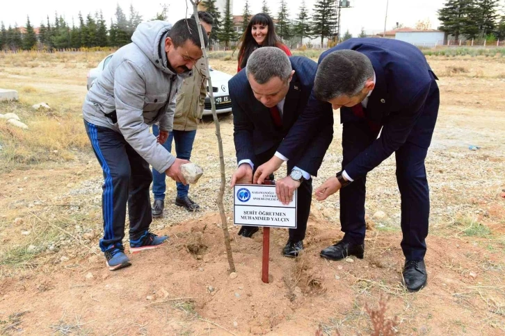 KMÜ’lü öğrenciler Karamanlı şehit öretmenler anısına fidan dikti
