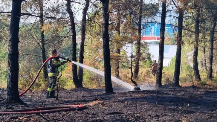 Kocaeli’de orman yangını
