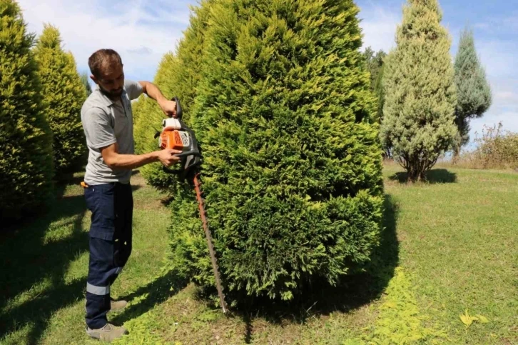 Kocaeli’de sonbahar hazırlığı
