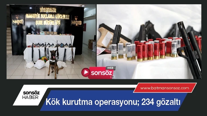 Kök kurutma operasyonu; 234 gözaltı