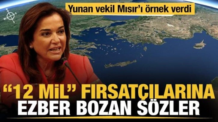 Komşuda ''12 mil'' fırsatçılarına Yunan vekilden ezber bozan sözler