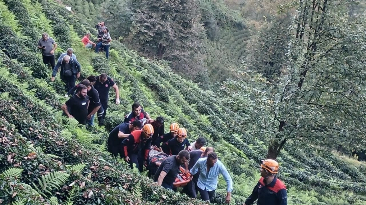 Kontrolü kaybeden sürücü çay bahçesine yuvarlandı: 1 ölü, 1 yaralı