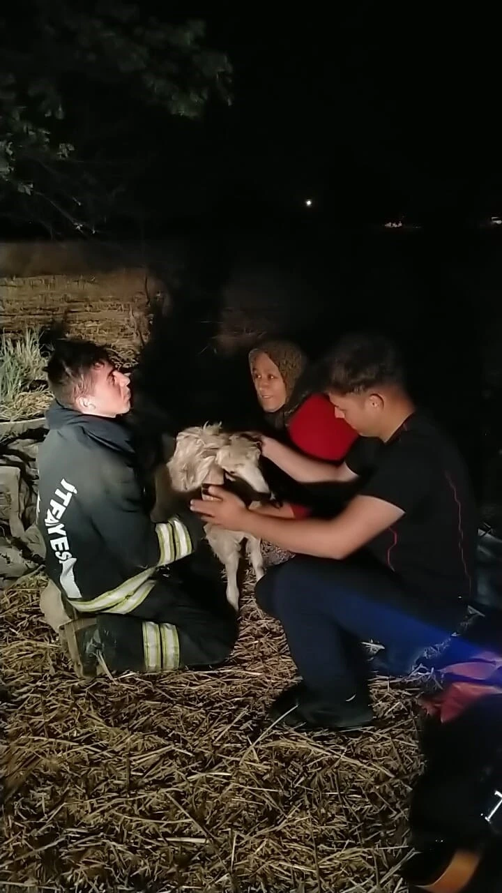 Konya’da 12 metrelik kuyuya düşen keçiyi itfaiye kurtardı
