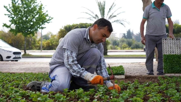 Konyaaltı çiçeklerle süsleniyor
