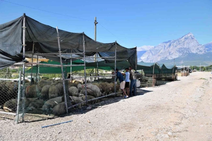 Konyaaltı’nda ücretsiz ve randevulu kurban kesimi
