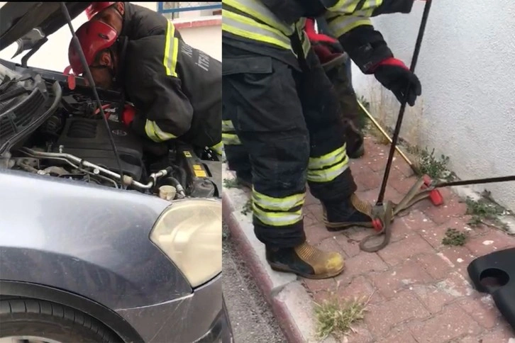 Konya’da otomobilden 1,5 metrelik yılan çıktı