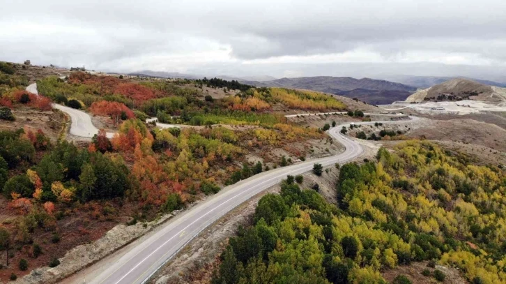 Kop Dağında renk cümbüşü
