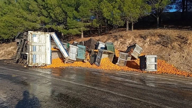 Kopan dorsedeki tonlarca mandalina yola saçıldı
