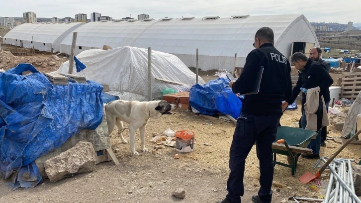 Köpeğin ısırdığı çocuk ağır yaralandı
