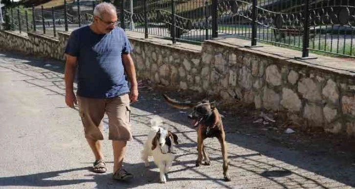 Köpek ile keçinin dostluğu görenleri şaşırtıyor