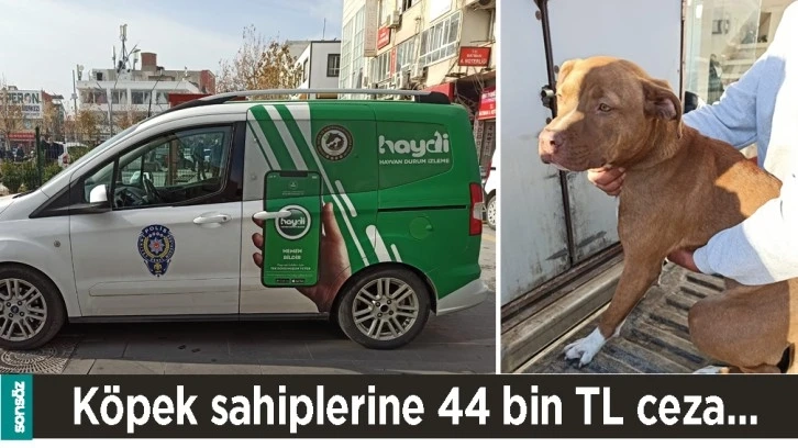 KÖPEK SAHİPLERİNE 44 BİN TL CEZA…