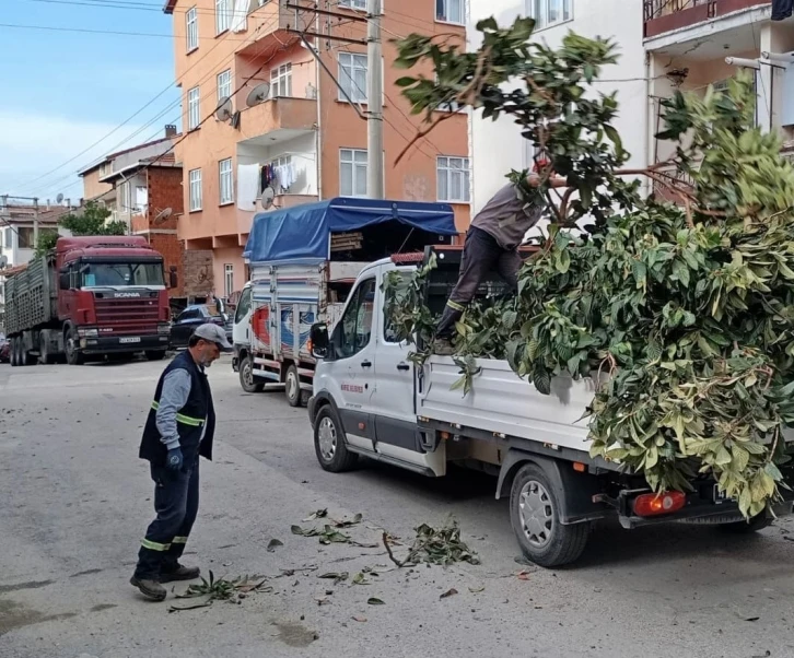 Körfez’de yeşil alanlara bakım
