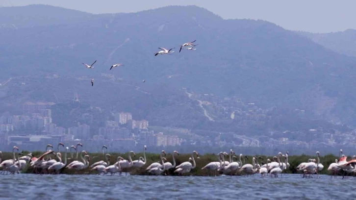 Körfez’in en renkli teknesiyle ilk tekne turu
