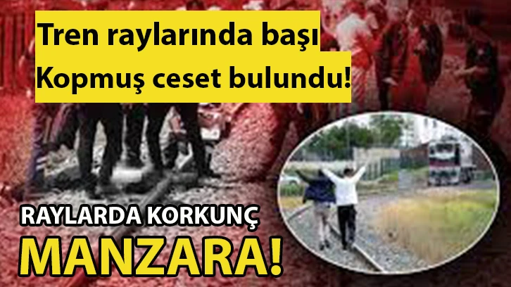 Korkunç olay! Tren raylarında başı kopmuş ceset bulundu!