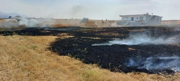 Korkuteli'de arazi yangını