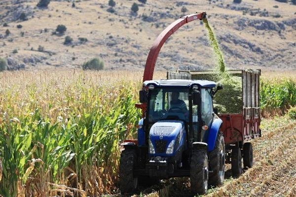 Korkuteli Taşkesiği Mahallesi'nde mısır hasadı yapıldı