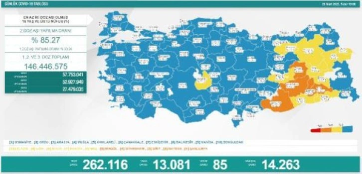 Koronavirüs salgınında günlük vaka sayısı 13 bin 81 oldu