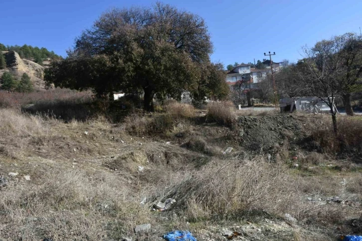 Koruma altındaki anıt ağacı için vatandaşlardan tepki
