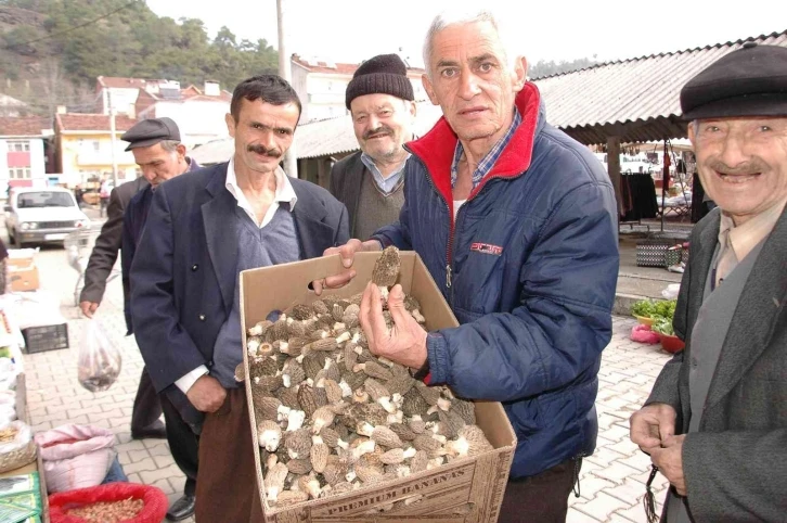 Köylüler ormandan topluyor, kilogramı 300 liradan satılıyor
