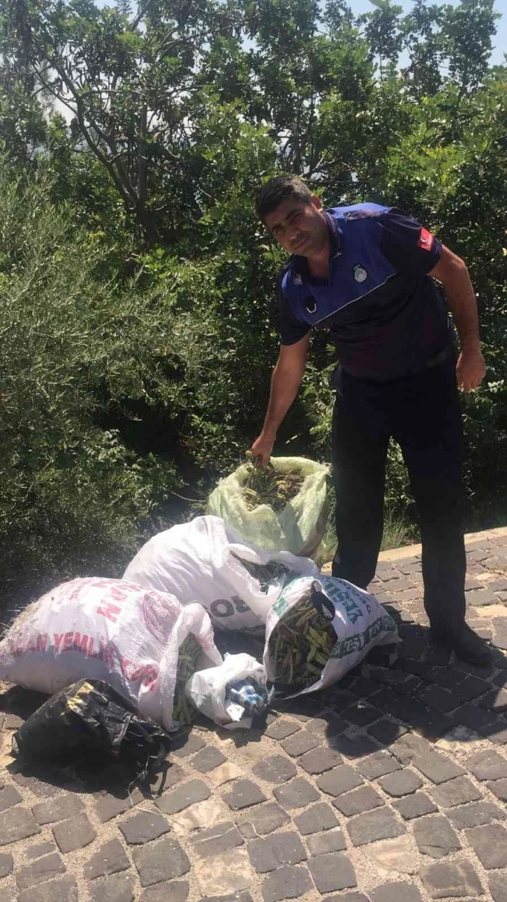 Kozan Kalesi’nde izinsiz harnup toplayanlar güvenliğe yakalandı
