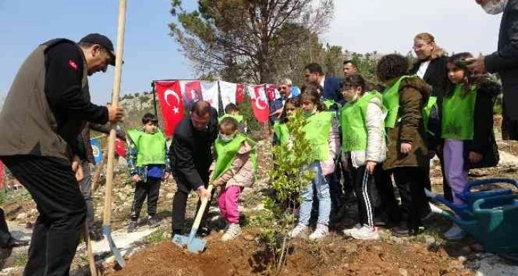 Kozan’da yanan ormanlar yeniden fidanla buluşuyor