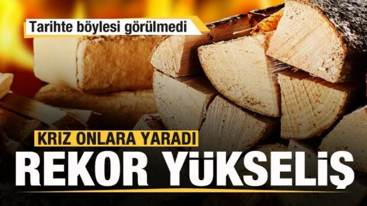 Kriz onlara yaradı! Rekor yükseliş