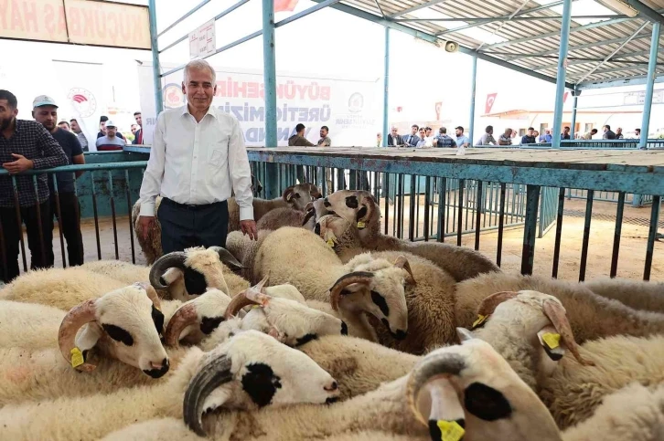 Küçükbaş yetiştiricisine yıkıma makinesi desteği
