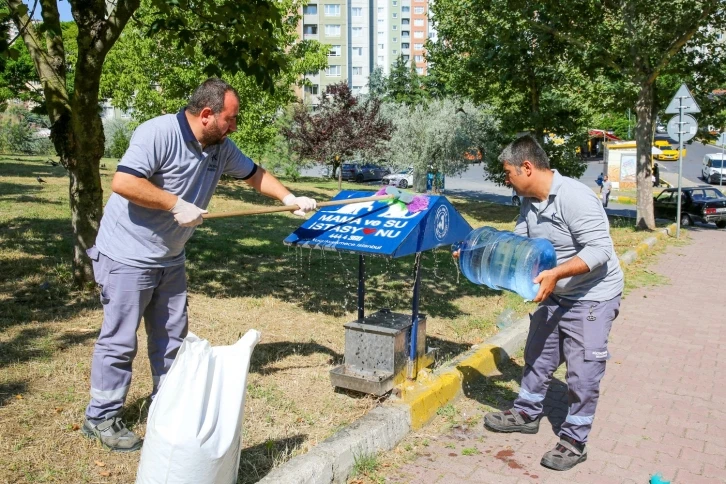 Küçükçekmece’de hayvan dostu belediyecilik
