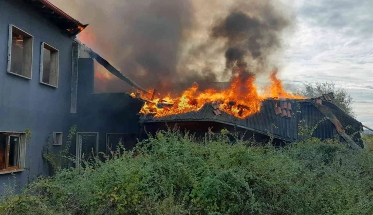 Kullanılmayan 2 katlı binada yangın
