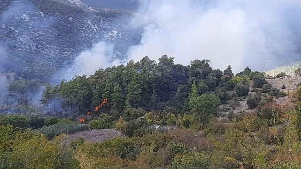 Kumluca'da orman yangını