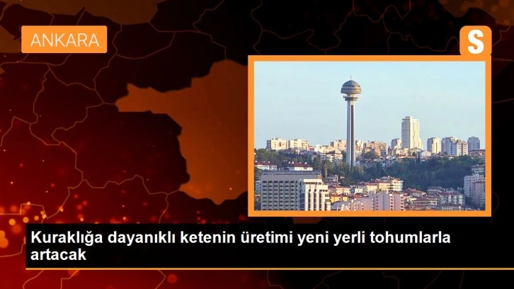 Kuraklığa dayanıklı ketenin üretimi yeni yerli tohumlarla artacak