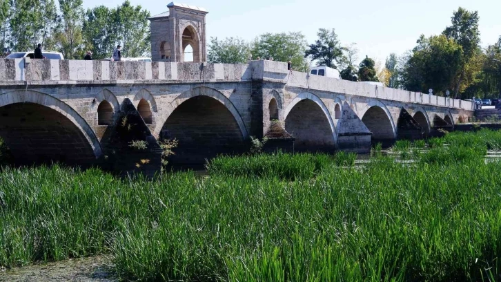 Kuraklıkla karşı karşıya kalan Tunca Nehri ot ve sazlıklarla kaplandı
