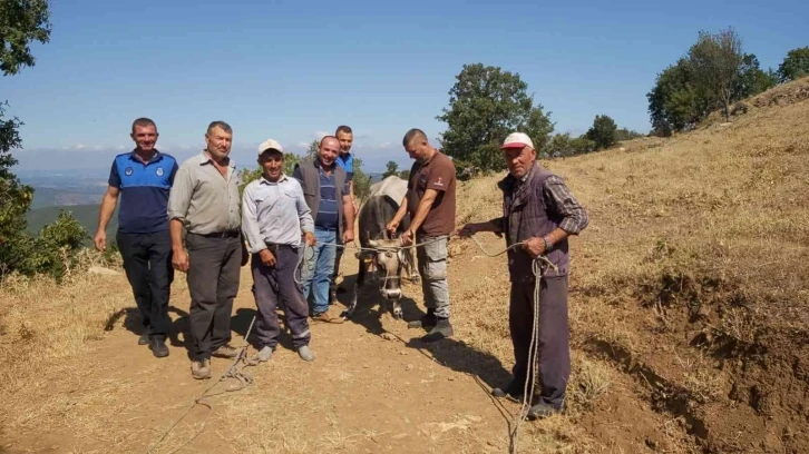 Kurbanda kaçtı, 26 gün sonra yakalandı
