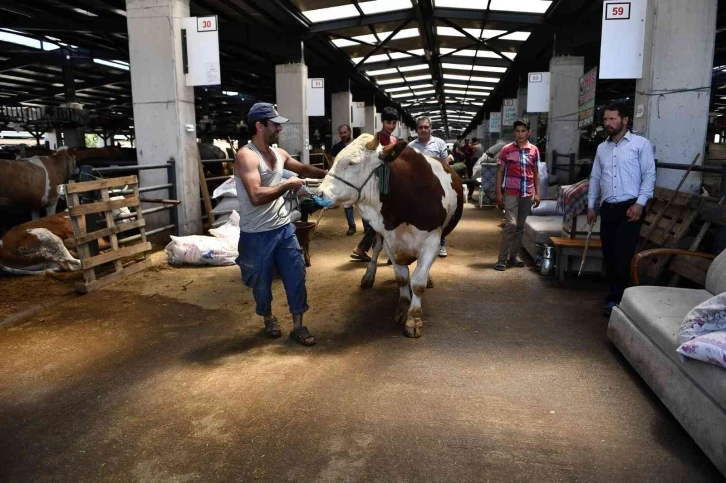 Kurbanlıklar bu ‘TİM’den kaçamayacak
