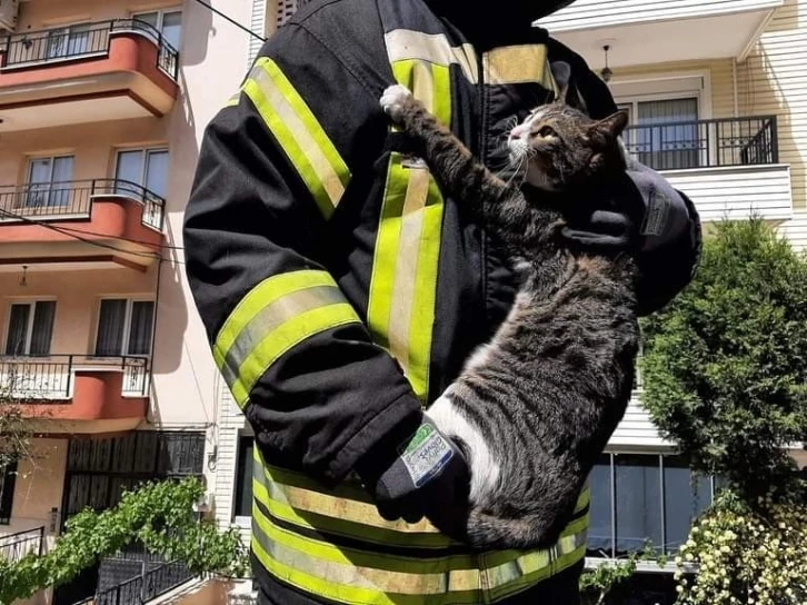 Kurtarılan kedi itfaiye erinin kucağından inmedi
