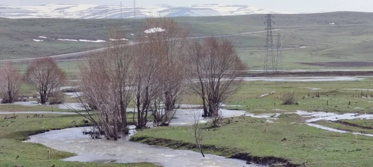 Kuru dere suya kavuştu
