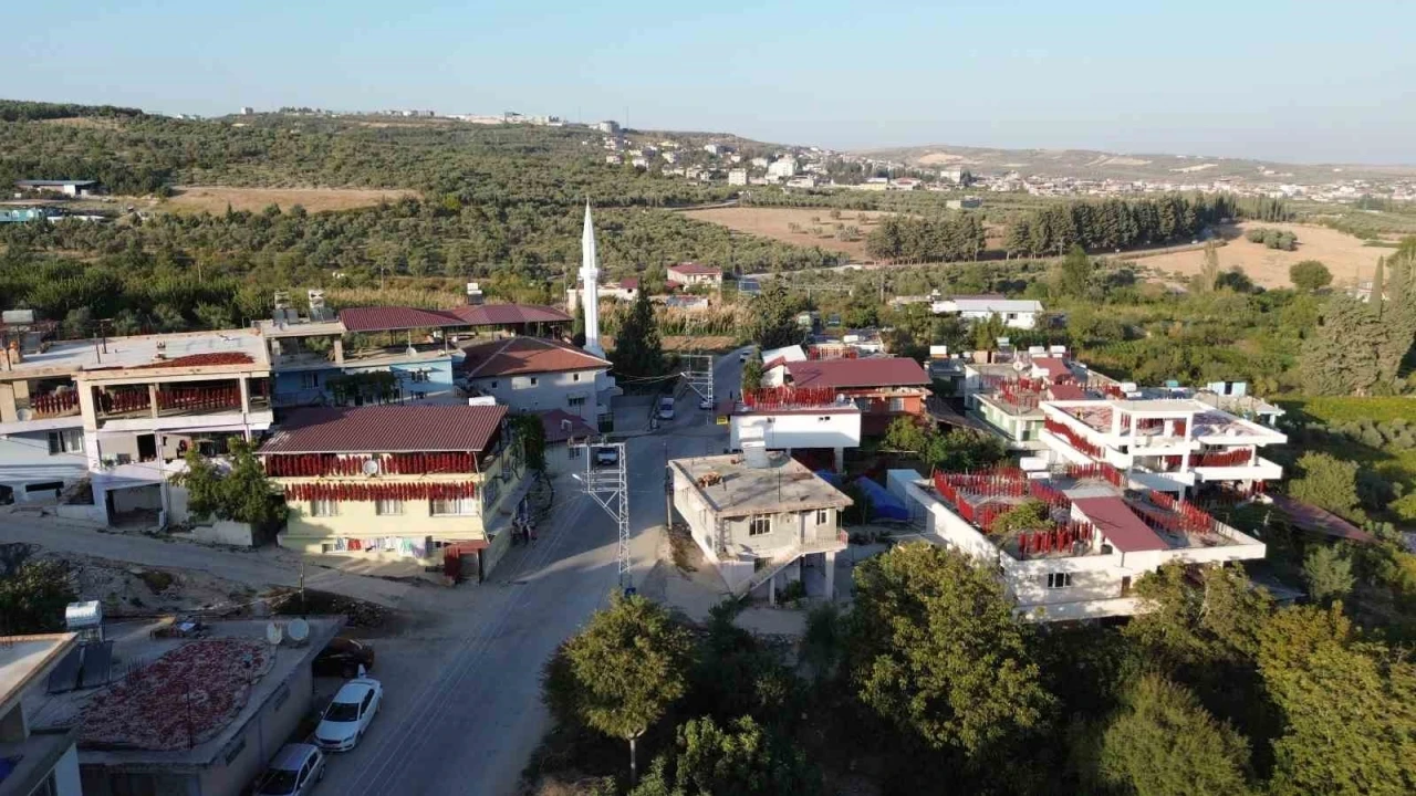 Kurutmalık biberlerle mahalle adeta kırmızıya büründü
