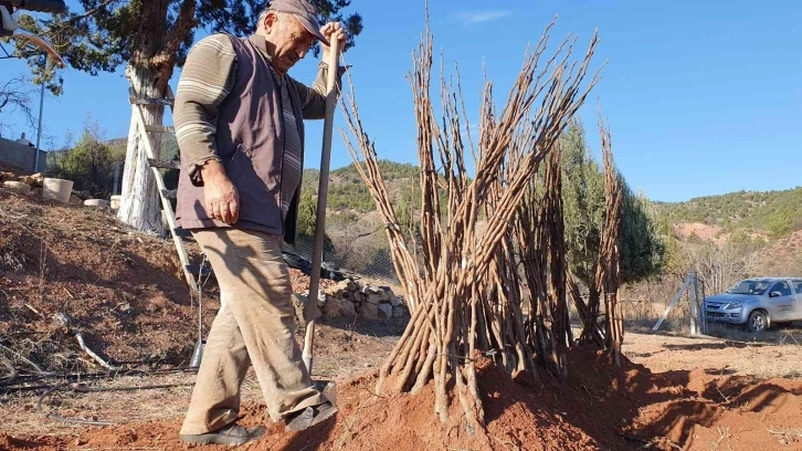 Kuruyan fidanların yerine yenisi dikildi
