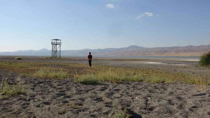 Kuş cenneti Erçek Gölü’nde korkutan su kaybı
