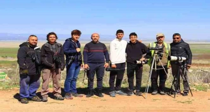 Kuş gözleminde Balıkesir dördüncü oldu