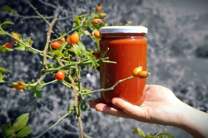 Kuşburnunun hasat dönemi yaklaştı
