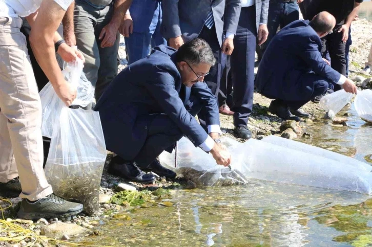 Kütahya’da 1 milyon yavru sazan balığı suya kavuştu
