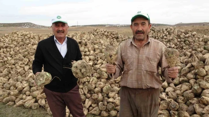 Kütahya’da pancar hasadı başladı
