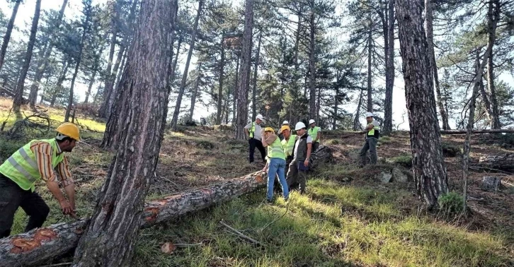 Kütahya’da üretim sahalarında orman emvalleri kontrolleri
