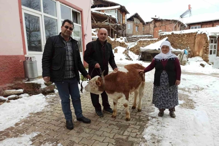 Kütahya Simavlı Gülper teyze, sattığı tosunun parasını depremzedelere bağışladı
